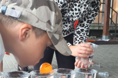 WhatsApp-Image-2025-06-25-at-08.19.08-1