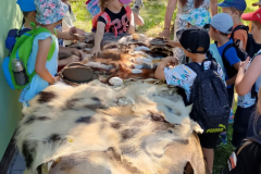 WhatsApp-Image-2025-06-26-at-13.08.44-2