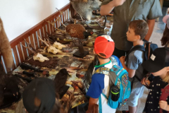 WhatsApp-Image-2025-06-26-at-13.08.45