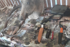 WhatsApp-Image-2025-06-26-at-20.37.34