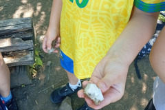 IMG_20260623_094508