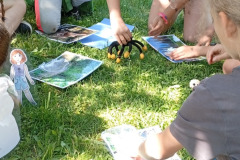 IMG_20260529_104425