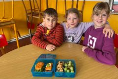 WhatsApp-Image-2026-03-30-at-12.12.00-1