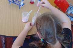 WhatsApp-Image-2026-03-30-at-12.12.07-2