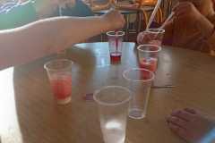 WhatsApp-Image-2025-12-03-at-15.35.12-2