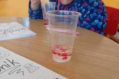 WhatsApp-Image-2025-12-03-at-15.35.12-5