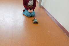 WhatsApp-Image-2026-02-28-at-07.20.53