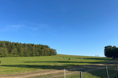 IMG-20261001-WA0029