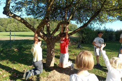 IMG_20260930_155551