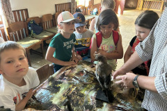IMG-20260624-WA0066