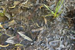 WhatsApp-Image-2026-04-24-at-12.33.38-2