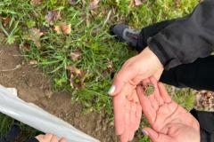 WhatsApp-Image-2026-04-24-at-12.33.39-1