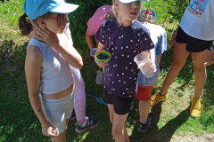 IMG_20250701_104507_1