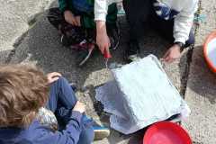 WhatsApp-Image-2026-04-15-at-08.26.29-2