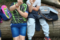 WhatsApp-Image-2025-06-11-at-07.29.22