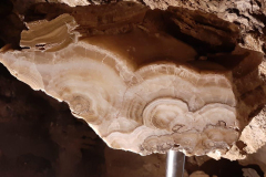 WhatsApp-Image-2025-06-11-at-08.06.50