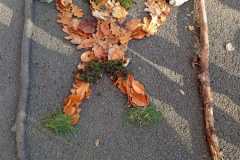 Strážci stromů listopad