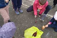 WhatsApp-Image-2025-12-03-at-15.33.28