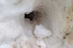 WhatsApp-Image-2025-12-03-at-15.33.30