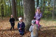 WhatsApp-Image-2025-11-02-at-17.34.30-1