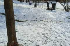 WhatsApp-Image-2026-02-28-at-07.18.58