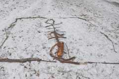 WhatsApp-Image-2026-02-28-at-07.19.07