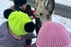 WhatsApp-Image-2026-02-01-at-10.02.16-5