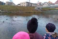 WhatsApp-Image-2025-12-20-at-11.43.21-2