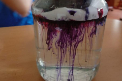 WhatsApp-Image-2025-10-04-at-18.10.34-2