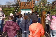 WhatsApp-Image-2025-04-14-at-11.37.58