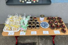 WhatsApp-Image-2026-04-01-at-13.15.49-2