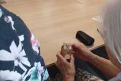 WhatsApp-Image-2026-04-01-at-13.16.18-2