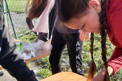 WhatsApp-Image-2025-05-03-at-09.13.01-2