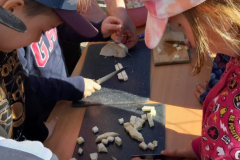 WhatsApp-Image-2025-05-03-at-09.13.02