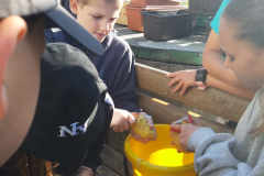 WhatsApp-Image-2025-05-03-at-09.13.05-1