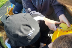 WhatsApp-Image-2025-05-03-at-09.13.05