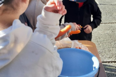 WhatsApp-Image-2025-05-03-at-09.13.10-2