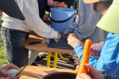 WhatsApp-Image-2025-05-03-at-09.13.11-1