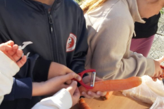 WhatsApp-Image-2025-05-03-at-09.13.11