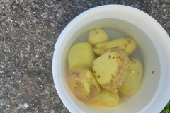 WhatsApp-Image-2025-05-03-at-09.13.13-2