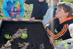 WhatsApp-Image-2025-05-03-at-09.13.14-1