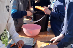 WhatsApp-Image-2025-05-03-at-09.13.15