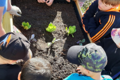 WhatsApp-Image-2025-05-03-at-09.13.19-1