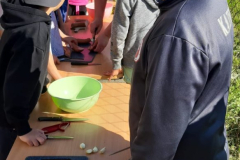 WhatsApp-Image-2025-05-03-at-09.30.52