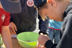 WhatsApp-Image-2025-05-03-at-09.30.55-1