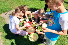 WhatsApp-Image-2025-05-03-at-09.54.26